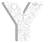 YOUCAT